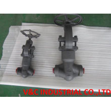 ANSI Socket Weld Forged Carbon Steel Globe Valve (Class150~600)